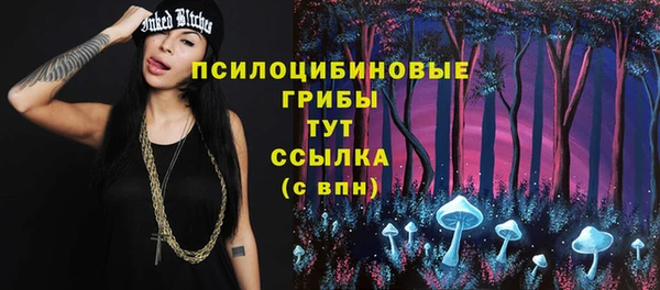 ешки Балахна